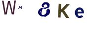 Image CAPTCHA