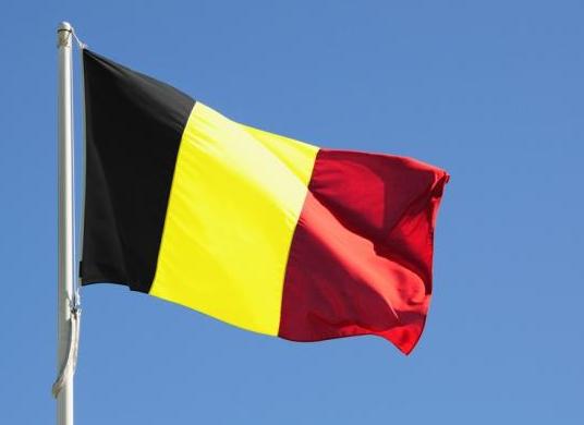 «Moldoveni în Belgia» numără 1000 de membri