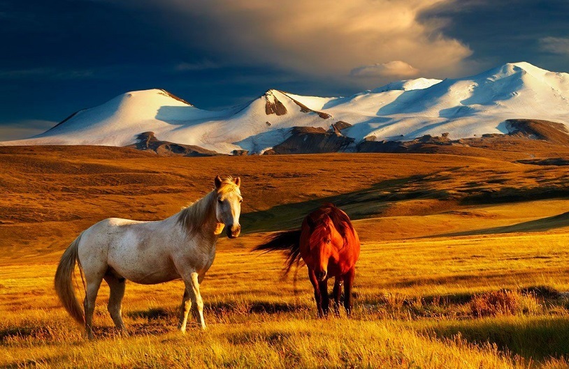 Mongolia dezvoltă turismul intern