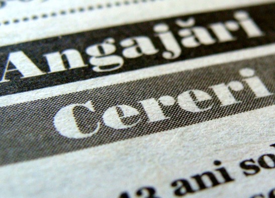 Concurs de angajare la AOFM a mun. Chișinău 
