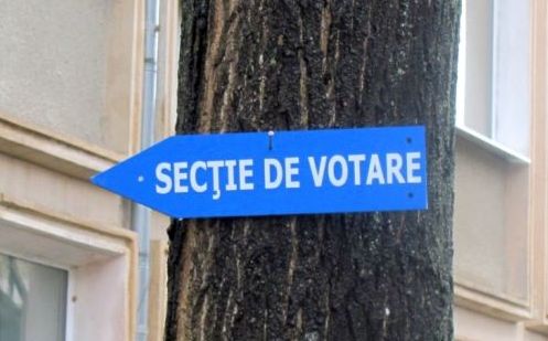 Diaspora insista asupra deschiderii a 29 de sectii de votare in Rusia