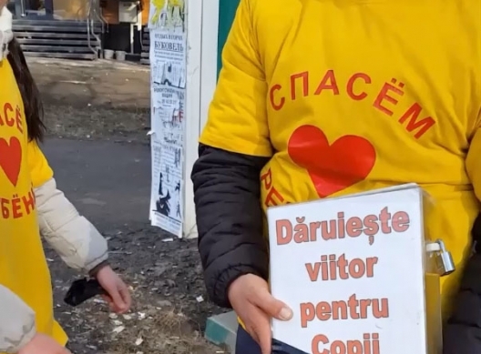 Racolau persoane pentru cerșetorie, poliția a deconspirat gruparea criminală 