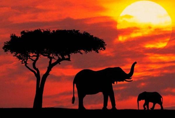 Kenya va elibera vize de tranzit pentru 96 de ore